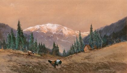 A capercaillie at the edge of a wood at sunset