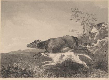 A Case of Real Distress (1850)