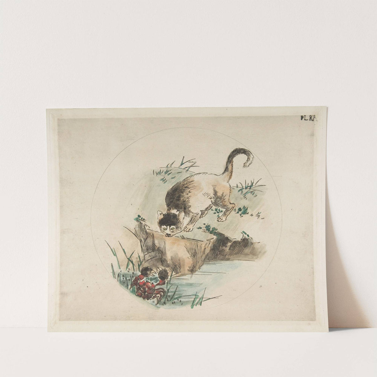 A Cat Hunting a Crab (1850–1914) by Félix Bracquemond