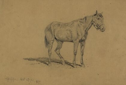 A cavalry horse