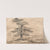 A Cedar on a Rise with a Herd of Deer Grouped Beneath its Shade by James Ward