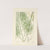 A century of ferns Pl.11 by William Jackson Hooker