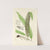 A century of ferns Pl.41 by William Jackson Hooker