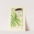 A century of ferns Pl.67 by William Jackson Hooker