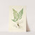 A century of ferns Pl.80 by William Jackson Hooker