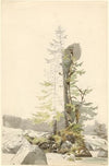 A Clump of Trees by a Rocky Stream in the Ramsau