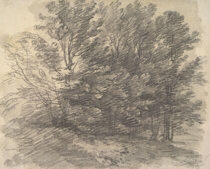 A Clump of Trees