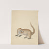 A Coatimundi by James Sowerby