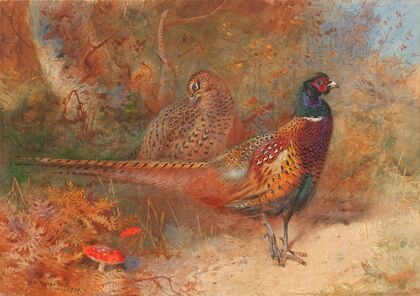 A cock and hen pheasant (1929)