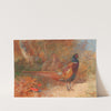 A cock and hen pheasant (1929) by Archibald Thorburn