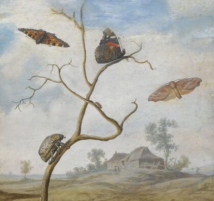 A Cockchafer On A Branch, Two Butterflies, A Moth And A Small Beetle Above, And A Landscape Behind