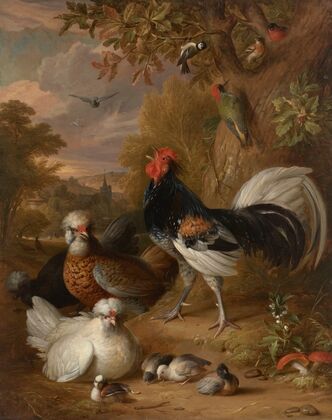 A cockerel, chickens, a woodpecker and other birds in a landscape