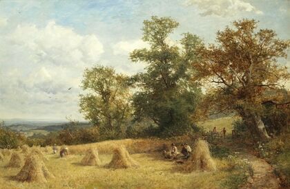 A cornfield at West Malvern