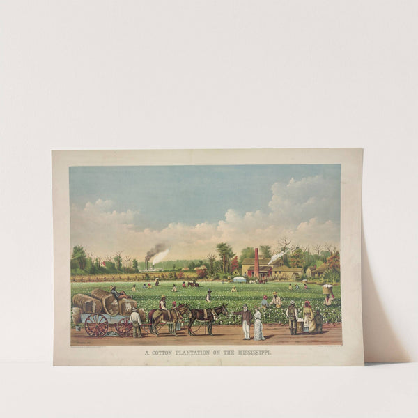 A cotton plantation on the Mississippi (1884) by Currier & Ives.