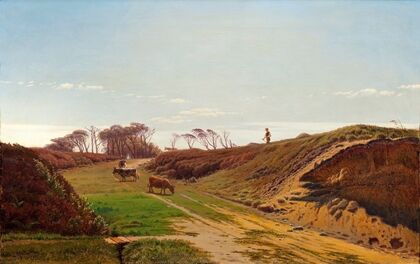 A country lane in Northern Jutland