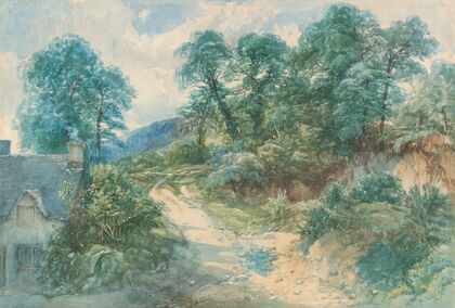 A Country Lane