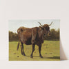 A Cow Grazing In A Meadow by Auguste Bonheur