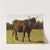 A Cow Grazing In A Meadow by Auguste Bonheur