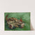 A crab on its back (1888) by Vincent van Gogh