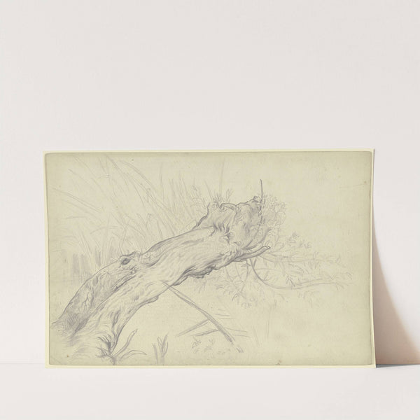 A crooked willow tree by Otto Scholderer