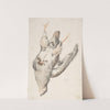 A Dead Bird Seen from Below by Count Giorgio Durante