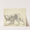 A Dog (1660s) by Cornelis Saftleven