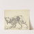 A Dog (1660s) by Cornelis Saftleven