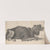 A Dog (17th century) by Cornelis Saftleven