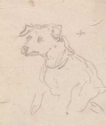 A Dog