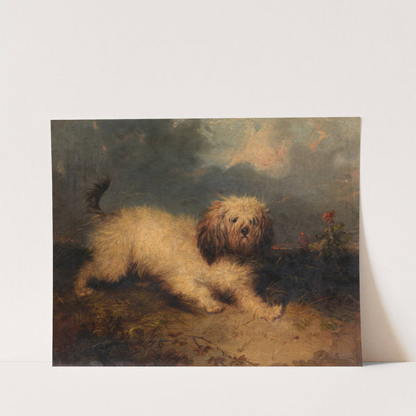 A Dog by George Armfield