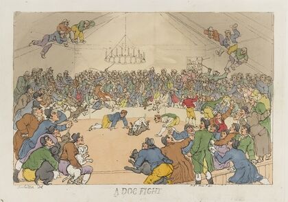 A dog fight (1811)