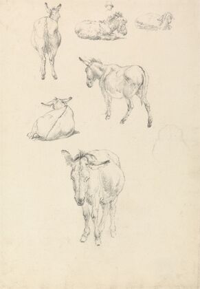 A Donkey, Six Studies; Lying, Walking, Standing, Sitting