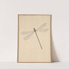 A Dragonfly by Nicolaas Struyk