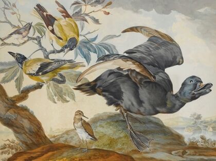 A Duck And Four Other Birds, Three On A Branch