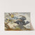 A Duck And Four Other Birds, Three On A Branch by Circle of Aert Schouman