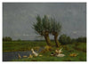 A Duck Family In A Meadow
