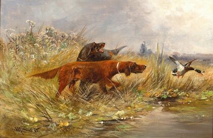 A Duck Hunt (1909)