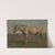 A Dun Horse (1848) by Adolph Tidemand