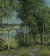 A Family of Birches