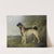 A Favourite Pug Bitch by Henry Bernard Chalon