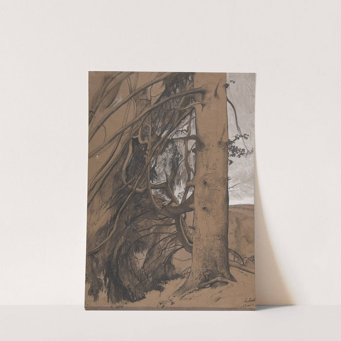A Fir Tree in the Forest of the Landes, Aquitane by René-Ernest Huet