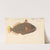 A Fish by Luigi Balugani