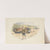 A Fishing Village (tail piece) by Alfred W. Cooper