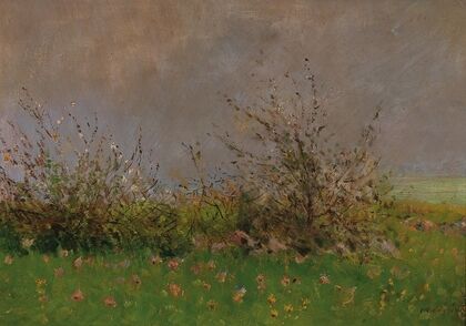A Flower Meadow