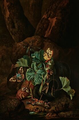 A forest floor with a snake, frog, snail, butterflies and other insects