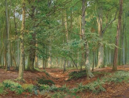 A Forest Glade