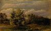 A forest lake surrounded by birches. Study (1837)