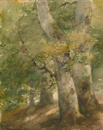 A Forest Scene — size preview