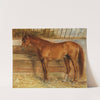 A Fox in a Stable by Arthur Kurtz