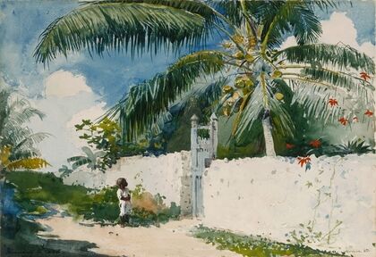 A Garden in Nassau